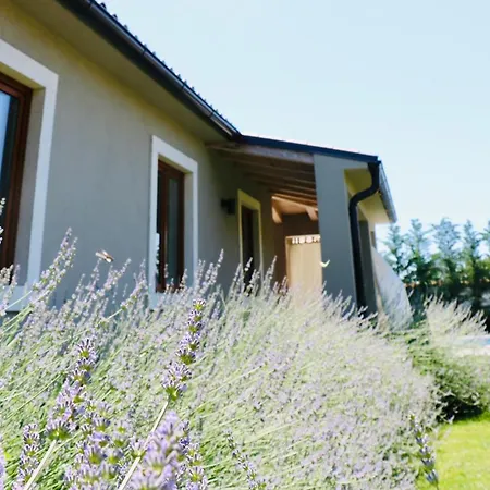 Stoje - Mit Beheiztem Pool Villa Svetvincenat